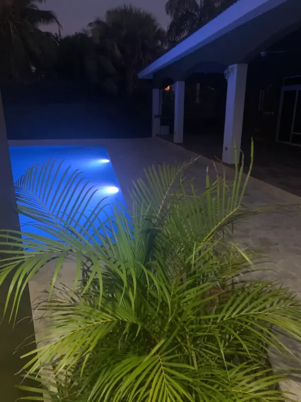 Illuminated outdoor swimming pool at night with a blue light, surrounded by palm fronds and a covered patio area.