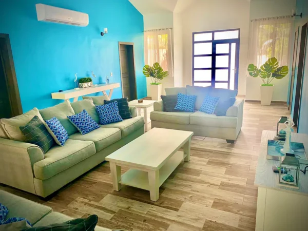 Bright living room with teal walls, two grey sofas with blue cushions, a white coffee table, and potted plants, with sunlight streaming in from a window.