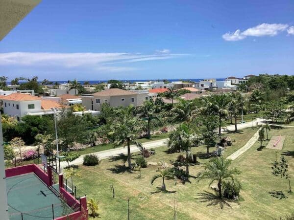 A view of palm trees and houses from above.